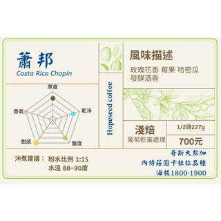 <希望種子咖啡> 哥斯大黎加 卡內特 音樂家系列 蕭邦(耳掛包, 淺焙) 自家烘焙 精品咖啡