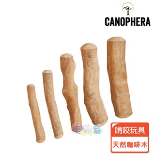 蝦幣回饋【德國CANOPHERA】咖啡木咬咬棒XS~2XL號 啃咬玩具 耐咬玩具 磨牙棒 木頭玩具 狗玩具 毛貓寵