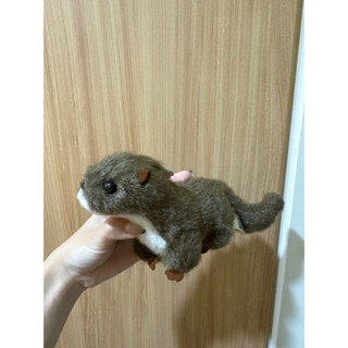 模擬 動物 海獺 掌上 可愛 娃娃 玩偶 布偶 二手 絨毛