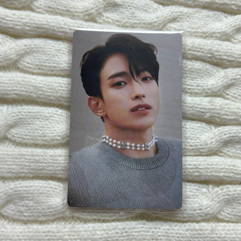 Seventeen DK 碩珉 人魚碩 wvs jp 迷九 attacca 特典 小卡