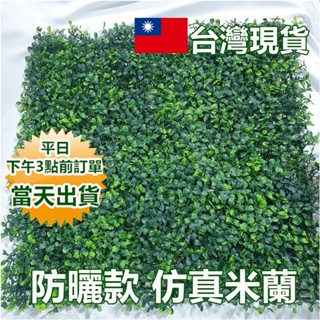 防曬防水款 抗UV仿真植物牆【臺灣現貨 快速出貨+蝦皮電子發票】 四層加密米蘭 寶來小舖