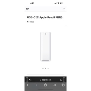 台中 Apple原廠 USB-C 對 Apple Pencil 轉接器 iPad Type-C 充電器 IPad 10轉