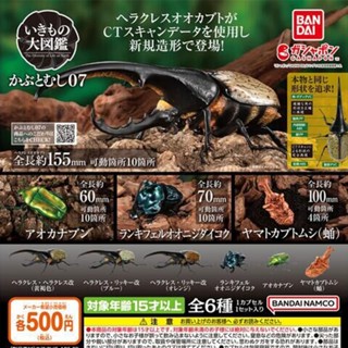 【盧卡斯偷椅子】現貨 正版 BANDAI 萬代 生物大圖鑑 獨角仙 07 P7 第七彈 甲蟲 扭蛋 轉蛋