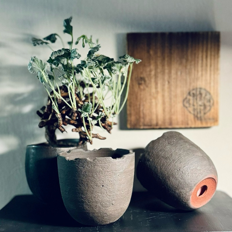 spicygem spicy gem 細川政己 植木鉢 鉢 pot(植木鉢 作家鉢 spicygem spicy gem 細川政己 植木鉢 鉢 pot(植木鉢 作家鉢