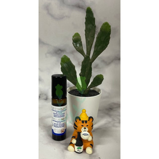 義大利原裝進口～清涼有勁~元氣舒活滾珠精油棒 8ml (優惠價@$290/瓶)