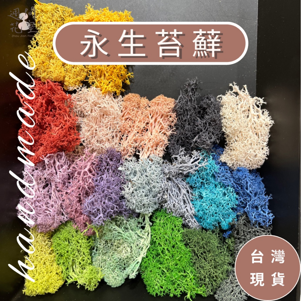 (台灣現貨) Moss 永生苔蘚 馴鹿草 高品質無雜質款 永生花乾燥花專用 鋪底用苔草 苔癬 苔草 花泥 海綿 乾燥花