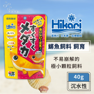 Hikari高夠力 飼育教材 小型魚飼料 40g 【良品優惠】適用於小型魚、鱂魚、孔雀魚等