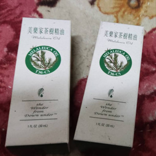 美樂家 T36-C5茶樹精油