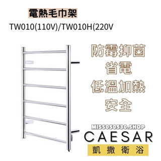 Caesar 凱撒衛浴 電熱毛巾架 毛巾架 TW010 TW010H 不鏽鋼毛巾架 乾燥毛巾架
