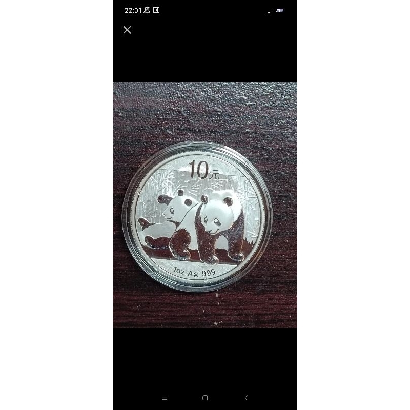 2010中國熊貓銀幣