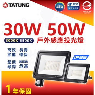 『燈后』大同LED 紅外線 感應戶外投光燈 戶外投光燈 投射燈 30W 50W CNS認證全電壓 IP65