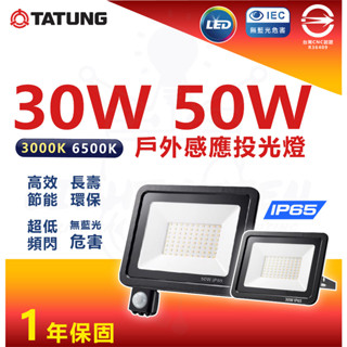 『燈後』大同led 紅外線 感應戶外投光燈 戶外投光燈 投射燈 30w 50w cns認證全電壓 ip65