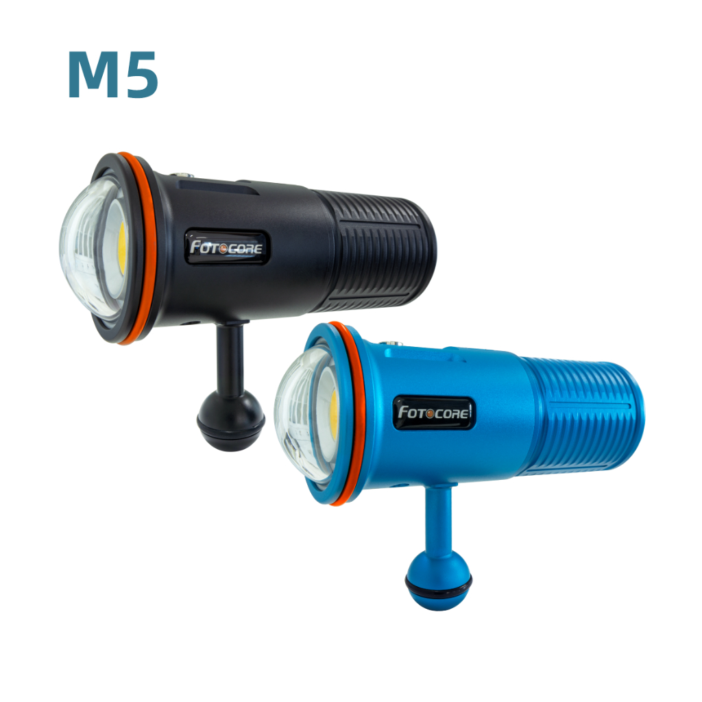 Fotocore M5 5000流明攝影燈