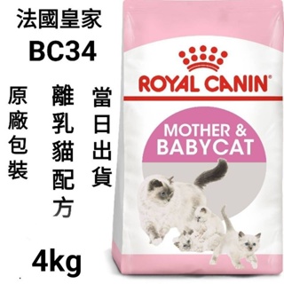 【當日出貨】2kg/4kg法國皇家 皇家 離乳貓 BC34 貓飼料 飼料 貓糧