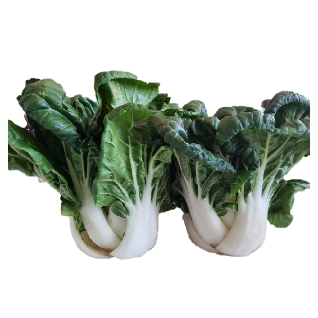 【蔬菜種子S169】新白冠奶白菜~ 葉深青綠，皺葉，品質特佳，肉質鮮美細緻無纖維，播種後約15至20天左右可收穫，