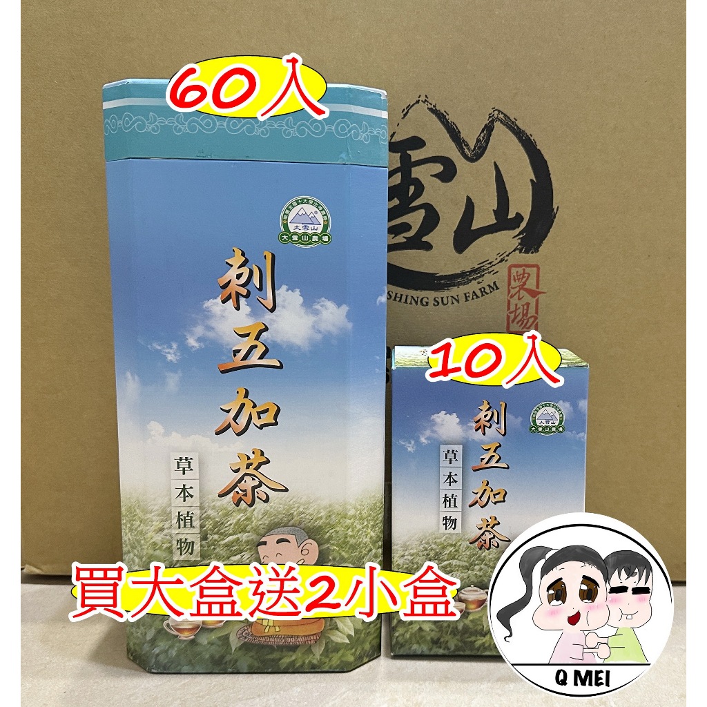 【Q妹】大雪山 農場 大雪山農場  刺五加茶 金線蓮茶 金線蓮 明日葉 七葉膽 松葉茶 茶包 買大送2小盒 60包/盒