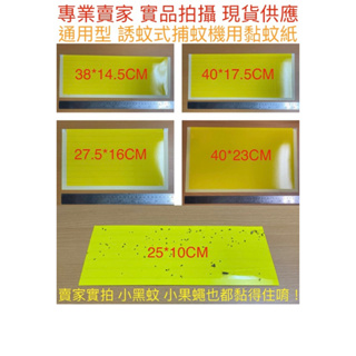 【金光閃閃】通用型 捕蟲紙 捕蚊紙 捕蟲紙 黏蚊紙 誘蚊式捕蚊機(L-102 L-103 L-110 L-118適用)