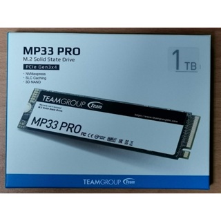 TEAM 十銓 MP33 PRO 1TB M.2 PCIe SSD 固態硬碟 (全新未拆)