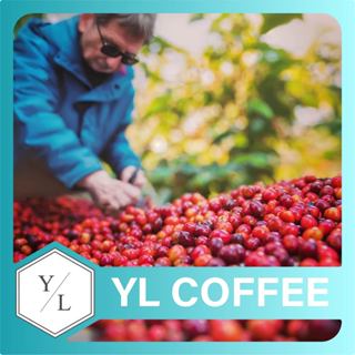 【咖啡友樂】瓜地馬拉茵赫特COE莊園 El Injerto【中科咖啡廳西屯區單品咖啡店、西屯精品咖啡豆推薦宅配】