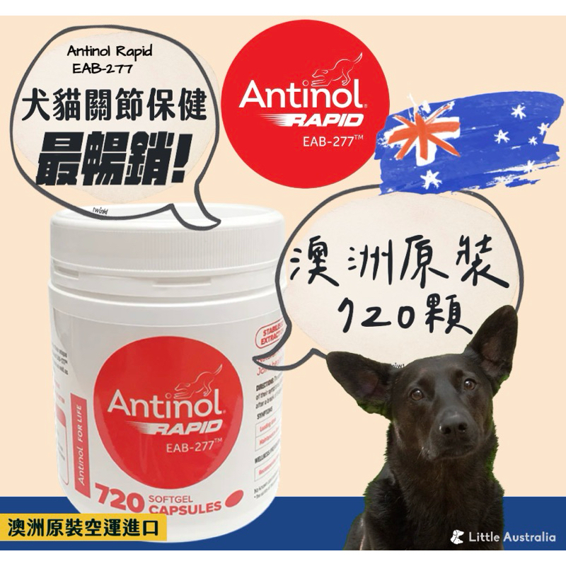 Antinol Rapid⭐️預購⭐️澳洲原裝720顆 犬貓關節保健