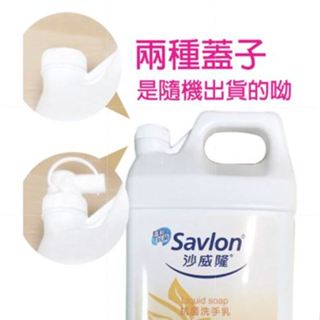 【savlon 沙威隆 】抗菌 洗手乳加侖裝 5桶