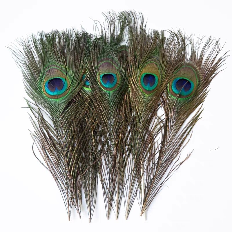 純天然孔雀羽毛 原住民飾品配件 DIY飾品裝飾材料
