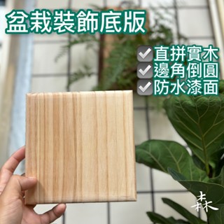 【職人木工坊】現貨專區 盆栽底板 上板 園藝裝飾 鹿角蕨 觀葉植物 蕨類 客製化 紐西蘭松木實木板 亮光漆 染色 碳化