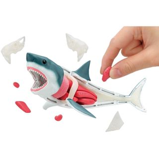 MegaHouse 自然科學系列 鯊魚 趣味拼圖 東海模型