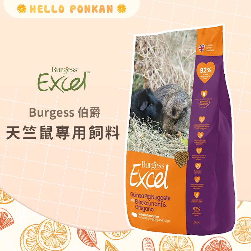 柑仔牧場探險🍊｜伯爵 Burgess Excel 黑加侖&amp;奧勒岡葉 天竺鼠主食 天竺鼠飼料