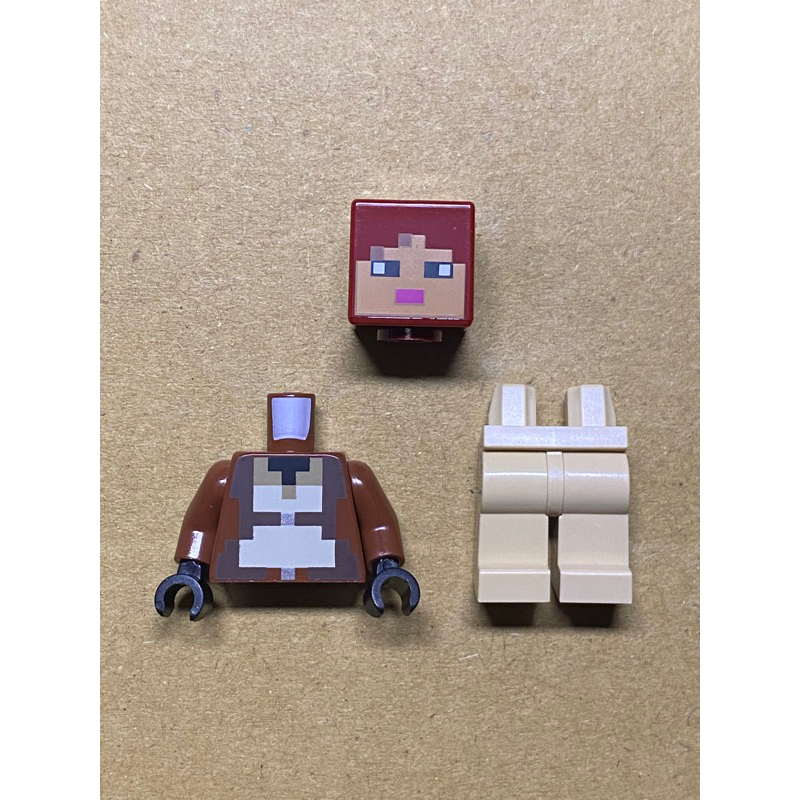 LEGO 樂高 人偶 叢林探險家 創世神 Minecraft 21245