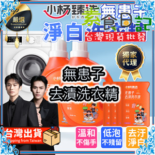 【小楊臻選🔥現貨免運】無患子去漬洗衣精 瘋狂小楊哥 小楊臻選 植萃淨白 洗衣精 洗衣液 濃縮洗衣精 洗衣精補充包 亮白洗