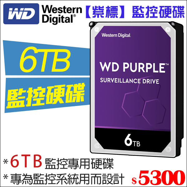 WD 監控硬碟 監視器 WD紫標 6TB 6T 3.5吋 WD60PURZ 6000GB 原廠保固三年