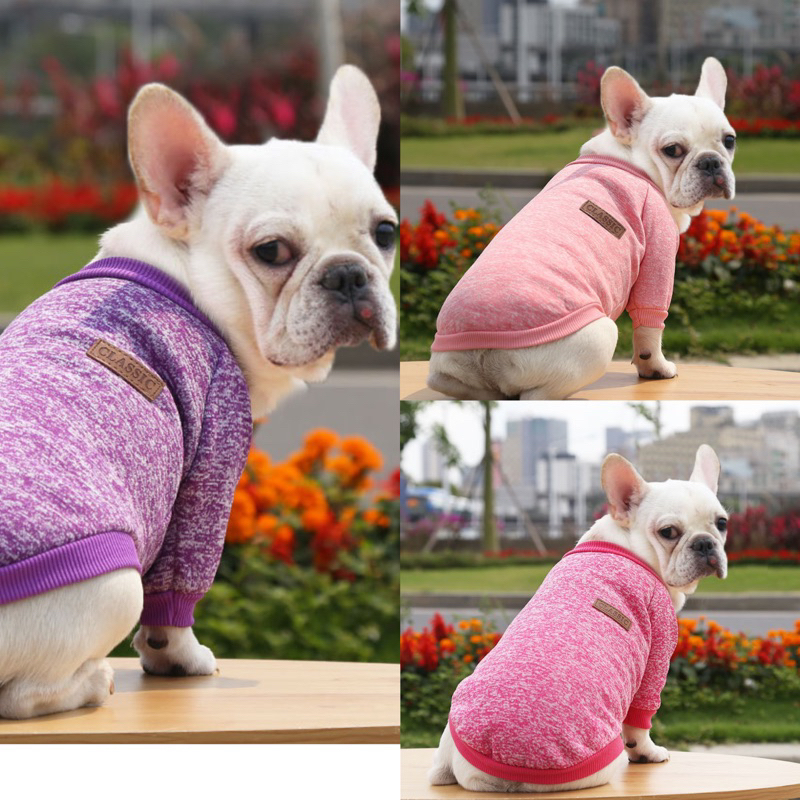 新款台灣寄出 寵物衣服 法鬥衣服 貓衣服 狗衣服 寵物衛衣 寵物保暖衣