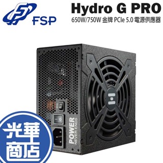 FSP 全漢 Hydro G PRO 650W/750W 金牌 全模組 電源供應器 HG2-750/650 光華