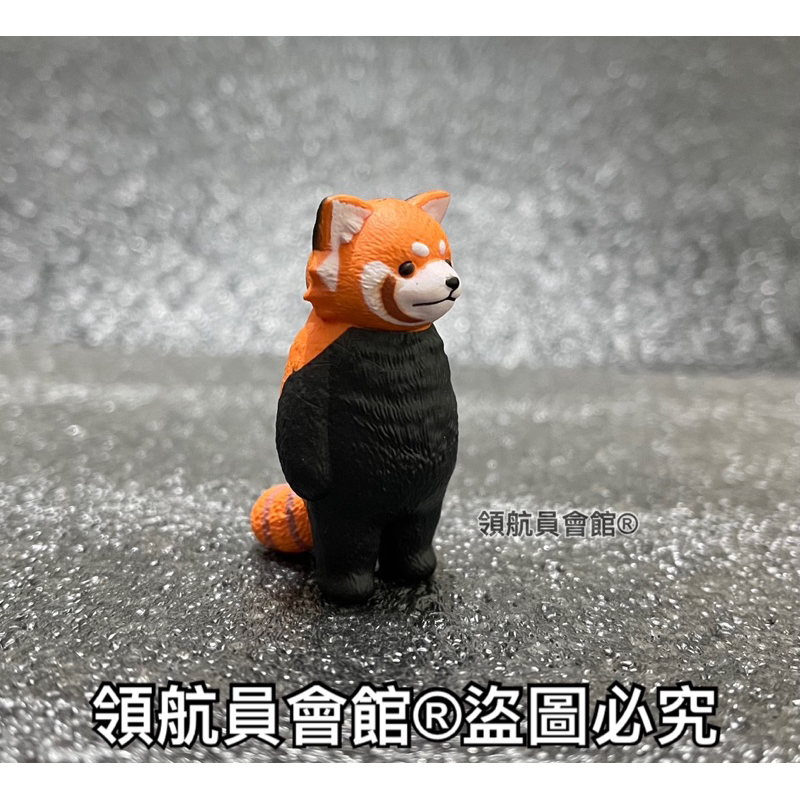【領航員會館】單售 浣熊 狸貓 YELL正版 空洞動物公仔 扭蛋 可愛動物療癒小物虛無空虛模型玩具寵物日本
