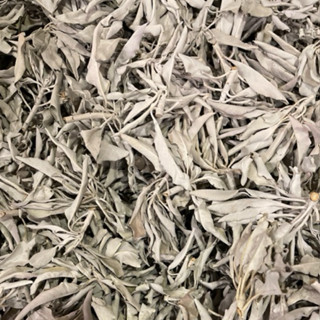 【滿額免運 免用券】天然進口白色鼠尾草 清理負能量 淨化心靈與空間 適用於神聖儀式 水晶淨化 水晶消磁 提升靈性 安撫