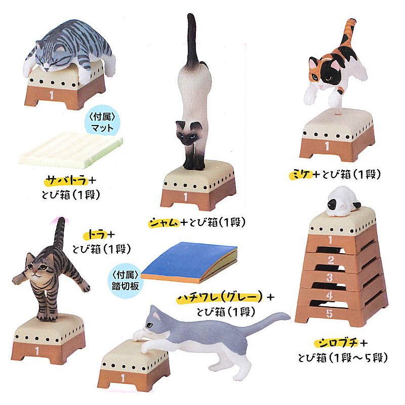 日本 stasto 扭蛋 懶洋洋 跳箱貓咪 全六種 動物轉蛋 跳箱貓 盒玩 公仔 模型 貓咪 玩具 日本扭蛋 裝飾 擺飾