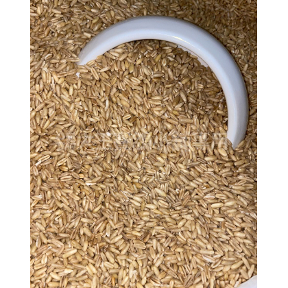 [營養飼料系列] 澳洲進口-嚴選燕麥粒 （真空包裝，乾淨又新鮮）