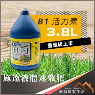 施達 翠筠 B1 活力素 施達活力素 觀葉植物用 多肉植物用 一般植物通用《優邸居家》