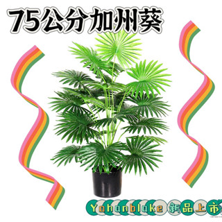 😇超商免運費😇模擬小扇葵 蒲葵24頭 棕櫚假樹 綠植 盆栽室內裝飾植物 加州葵 植物 造景園 佈景植物
