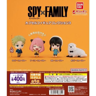 現貨 代理版 正版 BANDAI 轉蛋 扭蛋 間諜家家酒角色公仔 P3 洛伊德 約兒 安妮亞 全4款