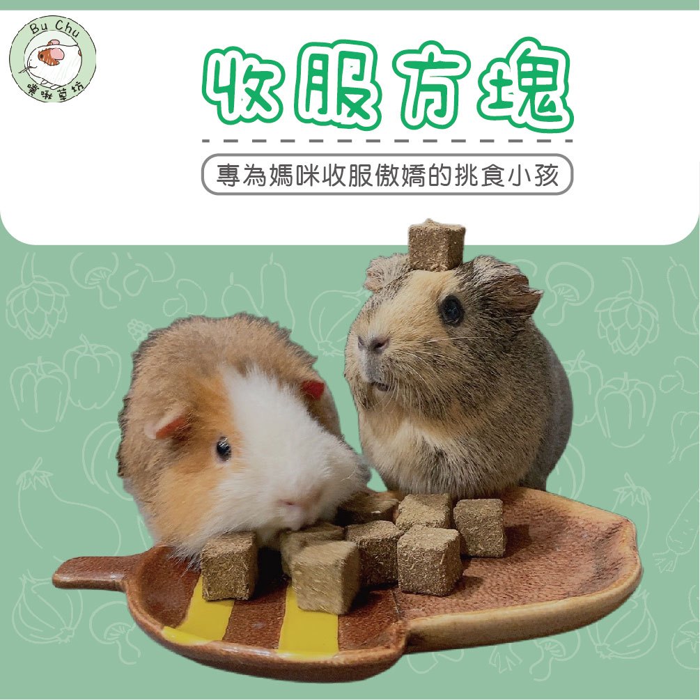 噗啾草坊🐹 收服方塊 草餅 草磚 天竺鼠草餅 兔子草餅 現貨供應