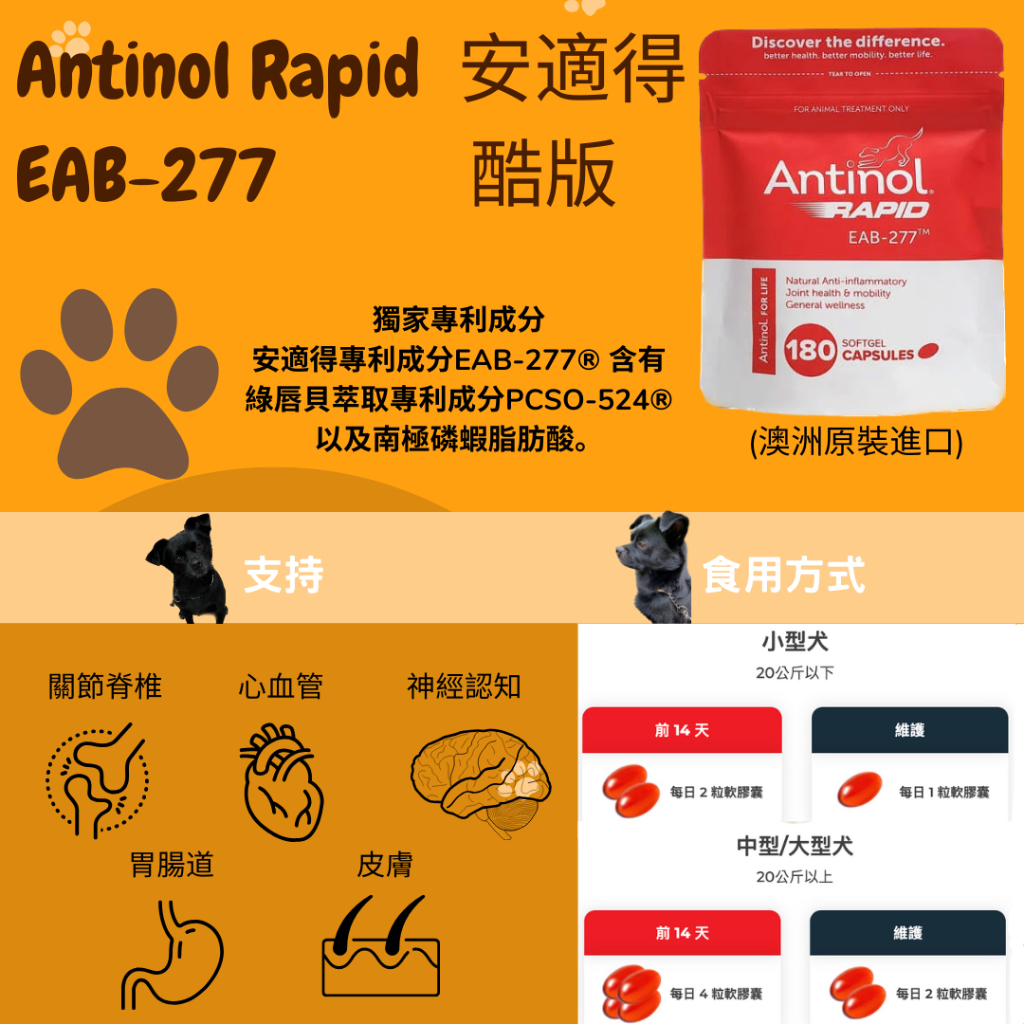 💕現貨 合法申報💕 安適得 Antinol Rapid EAB-277 180顆 關節保健 澳洲原裝 狗貓皆可