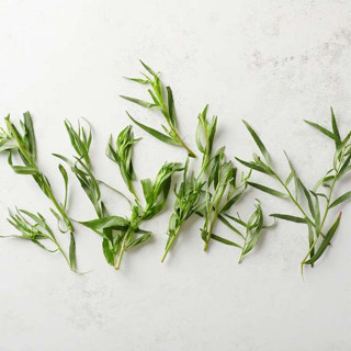 🇬🇧ND龍艾精油 龍蒿精油 Tarragon Essential Oil 純精油 植物草本純精油-/