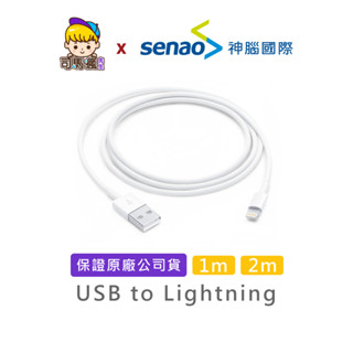【APPLE原廠】Lightning 充電線 臺灣現貨 隔日到貨 蘋果原廠線 充電傳輸線 1m 2m 傳輸線 連接線