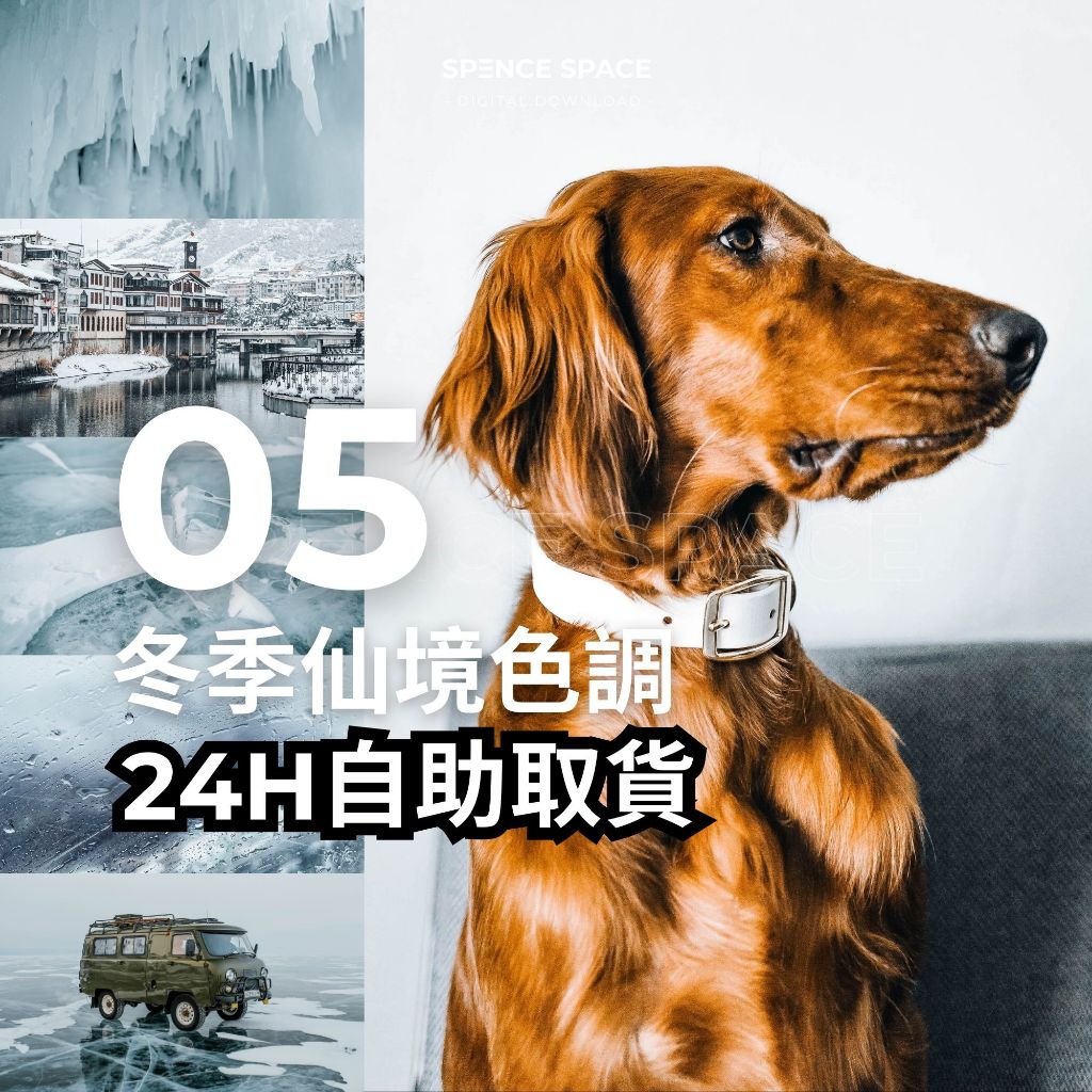 冬季仙境色調 戶外寵物攝影Lightroom濾鏡 LR預設 IG網紅George and Troja影片調色LUT風格檔