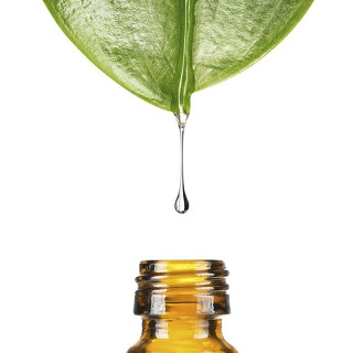 澳洲茶樹精油 Tea Tree Australian Essential Oil 純精油 植物草本純精油-