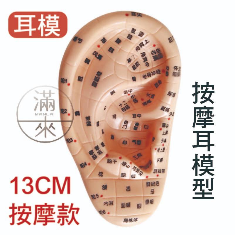 可開發票 13/17cm按摩耳模型 耳部按摩 耳穴模型 耳模 耳朵穴道 穴位模型 探穴筆 器官模型 教學客滿來ARVO