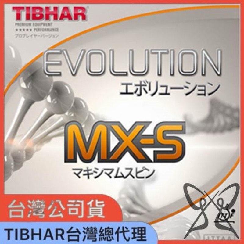 【MU Sport】 TIBHAR EVOLUTION MX-S MXS 桌球 膠皮