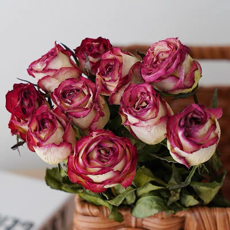 大朵 單頭 玫瑰花 乾燥花 永生花 花束 乾燥玫瑰 玻璃罩 材料 花圈 情人節花束 花材 批發